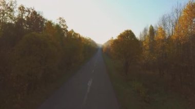 Bir sonbahar ormanının ortasında yolun havadan çekilmiş videosu.