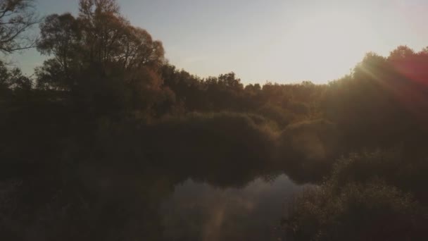 Légi felvétel repül a fák és a mező felett naplementekor ősszel — Stock videók