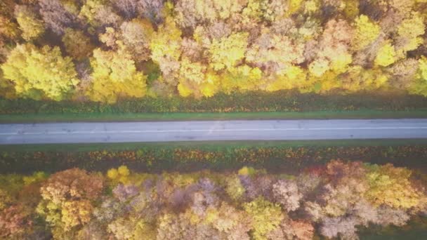 Vidéo aérienne de la route au milieu d'une forêt d'automne — Video