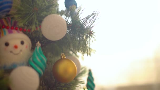 男の手ハングクリスマスボールオンクリスマスツリー — ストック動画