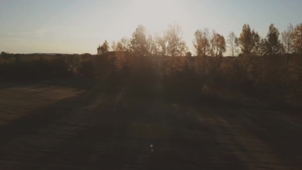 Vidéo aérienne survolant les arbres et les champs au coucher du soleil en automne — Video