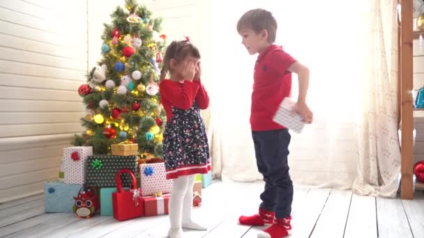 Junge schenkt einem Mädchen ein Weihnachtsgeschenk in der Nähe eines Weihnachtsbaums in einem sonnigen Raum — Stockvideo