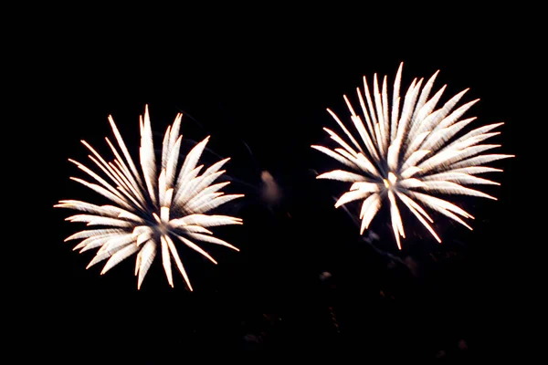 Jasně Barevné Ohňostroje Salutování Různých Barev Zobrazení Fireworks — Stock fotografie