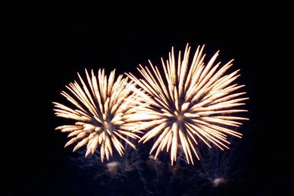 Fuochi Artificio Brillantemente Colorati Saluto Vari Colori — Foto Stock