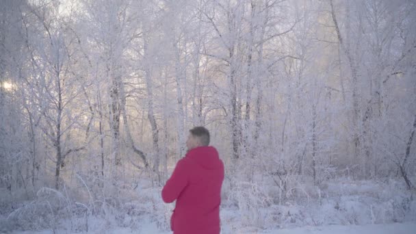 Человек идет по зимнему лесу с заснеженными деревьями в прекрасное морозное утро — стоковое видео