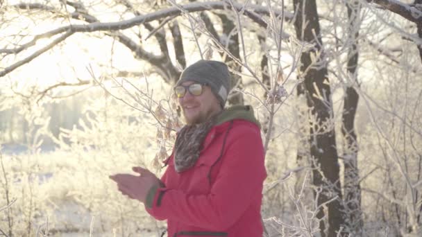 Um homem caminha através de uma floresta de inverno com árvores cobertas de neve em uma bela manhã gelada — Vídeo de Stock