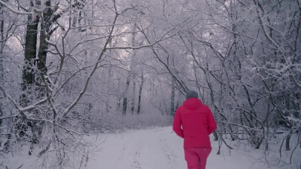 男は美しい霜の朝に雪に覆われた木で冬の森を歩く — ストック動画