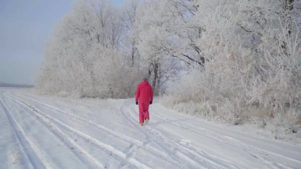 En man går genom en vinterskog med snötäckta träd en vacker frostig morgon. Långsamma rörelser — Stockvideo