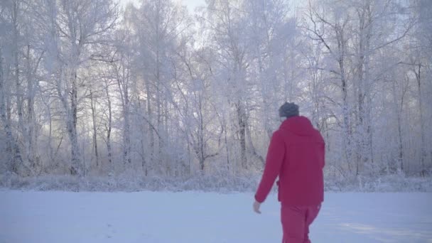 En man går genom en vinterskog med snötäckta träd på en vacker frostig morgon — Stockvideo