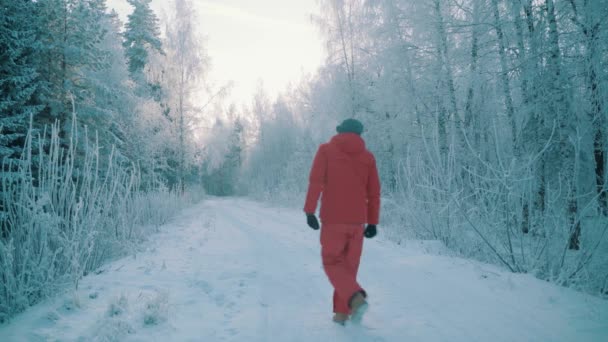 Un homme marche à travers une forêt d'hiver avec des arbres couverts de neige par un beau matin glacé — Video