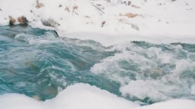 Dağ nehri ve karlı ağaçlı kış ormanı. Yavaş Hareket