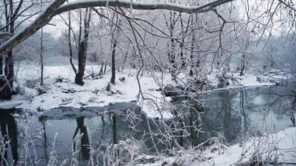 Górska rzeka i zimowy las ze śnieżnymi drzewami. Zwolniony ruch — Wideo stockowe
