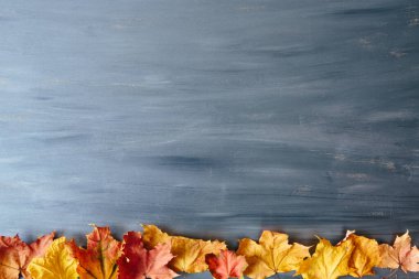 Yıllanmış ahşap üzerinde parlak kırmızı sonbahar yaprakları. Şükran Günü sonbahar tatili konsepti. Sonbahar yapraklı yatay pankart. Eski grunge ahşabının üzerindeki yaprak çerçevesinin üst görüntüsü.