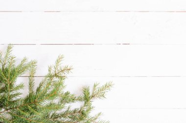 Noel ya da yeni yıl geçmişi. Firavun dalları, düzlük, boş alan selamlama metni için