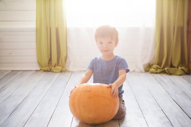 Harika küçük çocuk büyük balkabağıyla oturuyor. Çocuklar Cadılar Bayramı 'nı oturma odasında kutluyorlar. Mutlu Cadılar Bayramı Mutlu Cadılar Bayramı