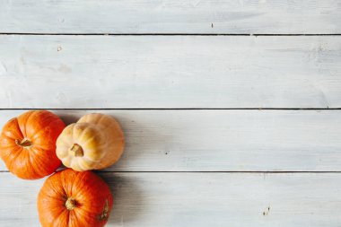 Beyaz ahşap arka planda turuncu balkabakları. Şükran Günü ve Cadılar Bayramı konsepti. Yukarıdan bak. Üst Manzara. Metin ve tasarım için boşluk kopyala