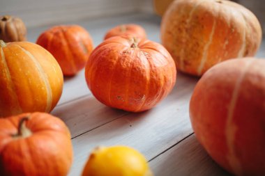 Balkabakları odada yerde yatıyor.