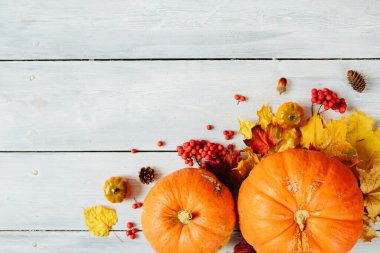 Şükran Günü arkaplanı: balkabakları ve tahta arka planda düşen yapraklar. Şükran Günü ve Cadılar Bayramı konsepti. Yukarıdan bak. Üst Manzara. Metin ve tasarım için boşluk kopyala