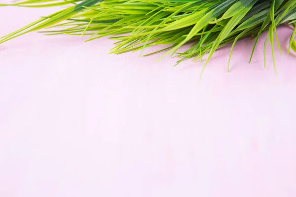 Зеленая Трава Деревянном Розовом Фоне Стола — стоковое фото