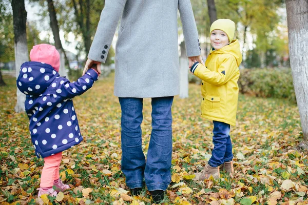 Family Walks Autumn Park Cloudy Day — Stock Photo, Image