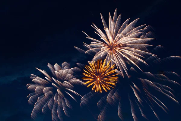 Schöne Feuerwerke Neujahr Unabhängigkeitstag Oder Anderen Feiertagen Vor Dem Hintergrund — Stockfoto