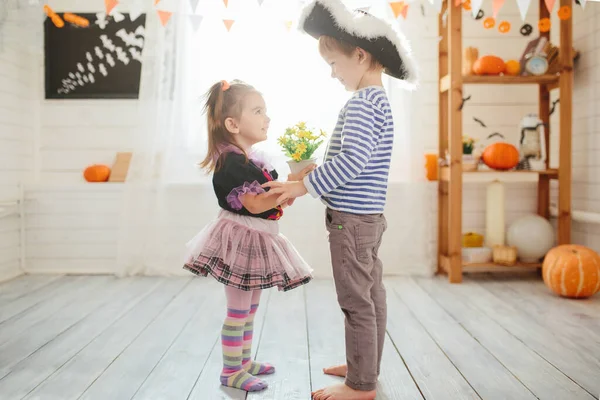 海賊の衣装を着た少年と魔女の衣装を着た少女は自宅でハロウィンを祝います 男の子が女の子に花をあげます — ストック写真