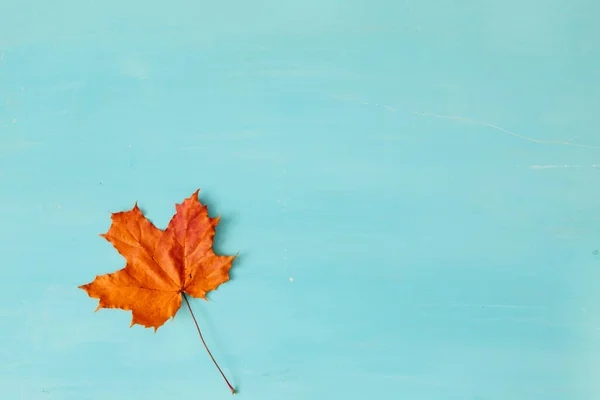 Hösten Löv Över Blå Trä Bakgrund — Stockfoto