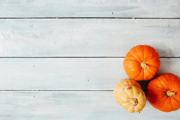 Orange Pumpor Vit Trä Bakgrund Thanksgiving Och Halloween Konceptet Utsikt — Stockfoto