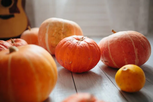 Pumpkins Floor Room — Stock Photo, Image