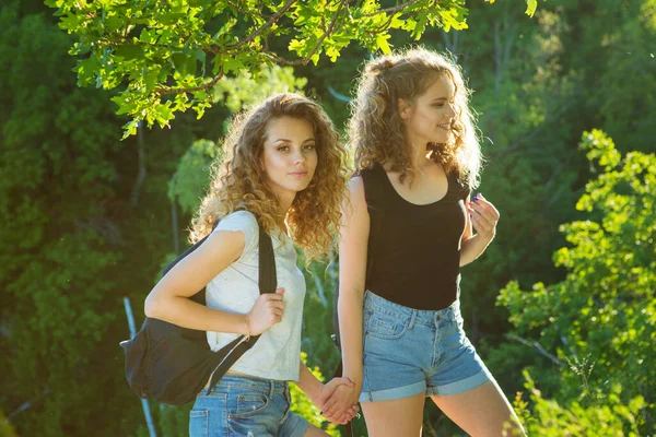 Een Wereld Zonder Grenzen Reizigers Achtergrond Van Een Prachtige Bergkloof — Stockfoto