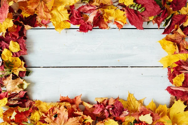 День Благодарения Осенний Фон Расположением Красочных Осенних Листьев Вид Сверху — стоковое фото