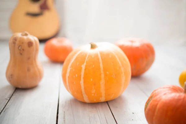 Pumpkins Floor Room — Stock Photo, Image