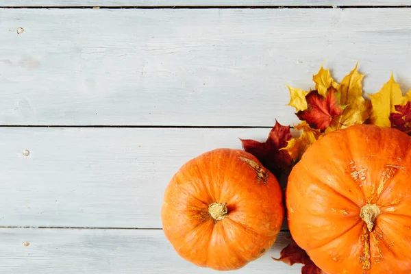 Höstpumpa Thanksgiving Bakgrund Thanksgiving Och Halloween Konceptet Utsikt Uppifrån Högst — Stockfoto