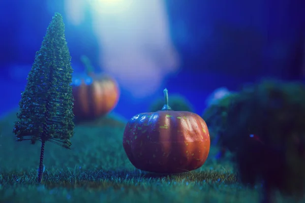Halloween Kürbisse Einem Dunklen Wald Mondschein Märchen Makro Künstliche Magische — Stockfoto