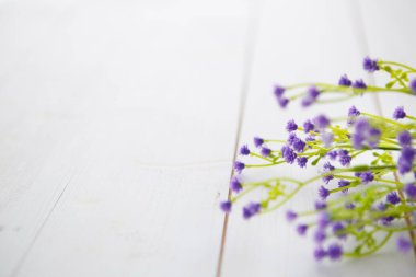 Temiz ahşap arka planda bahar çiçekleri. 