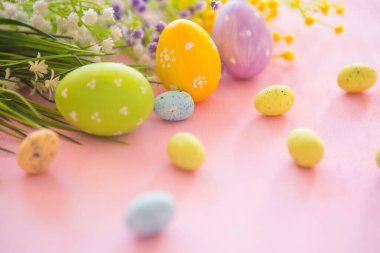 Paskalya yumurtaları ve çiçek dalları pembe ahşap bir arka planda..