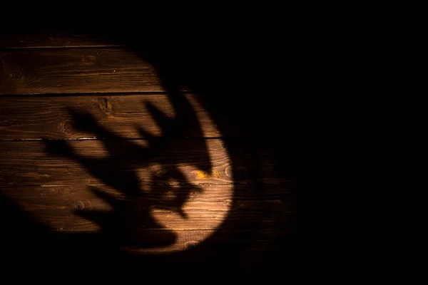 Siluetas Murciélago Sobre Fondo Madera Para Halloween Sombra — Foto de Stock