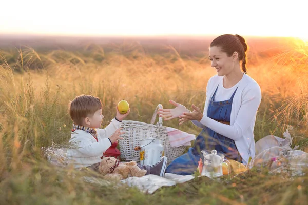 美しい秋や夏の日にピクニックに小さな男の子の息子と彼の妊娠中の母親 幸せな家族と健康的な食事の概念 秋は素晴らしい美しいピクニック時間です — ストック写真