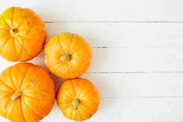 Orange pumpkins on white wooden background. Thanksgiving and Halloween concept. View from above. Top view. Copy space for text and design