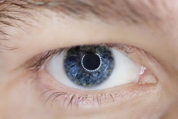 Niebieskie Oko Makro Tle Zbliżenie — Zdjęcie stockowe