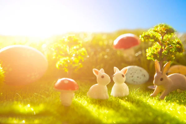 토끼와 하늘을 배경으로 잔디에 — 스톡 사진