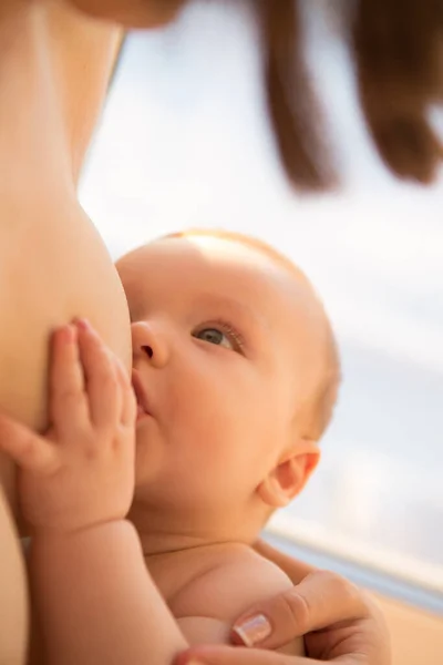 Mãe Feliz Amamentando Seu Bebê Infantil Mãe Amamentar Bebé Mulher — Fotografia de Stock