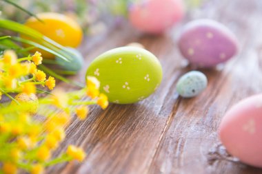 Kırsal bir arka planda Paskalya yumurtaları ve bahar çiçekleri.