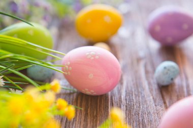 Paskalya yumurtaları ve bahar çiçekleri eski ahşap bir arka planda.