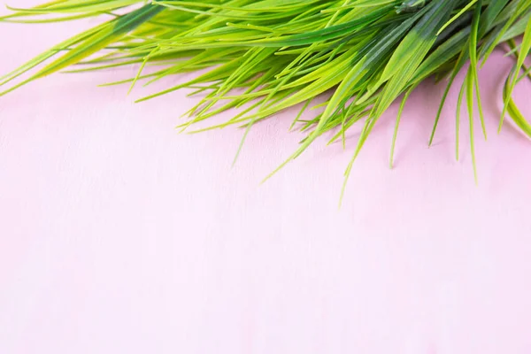 Hierba Verde Sobre Fondo Rosa Madera — Foto de Stock