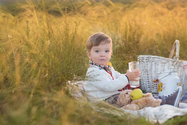 Güneşli Bir Günde Piknik Yapan Süt Meyveli Bir Çocuk Sonbahar — Stok fotoğraf