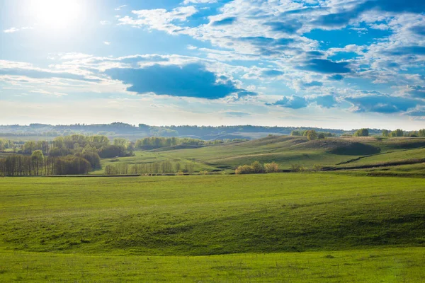 Grüne Wiese Und Schöner Sonnenuntergang Feld Von Frühlingsgras Und Wald — Stockfoto