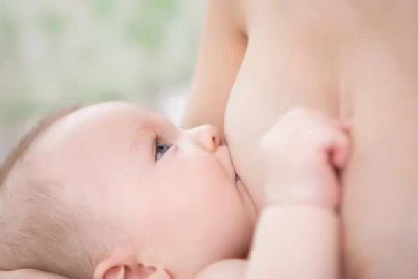 Lactancia Infantil Madre Está Amamantando Bebé Recién Nacido —  Fotos de Stock