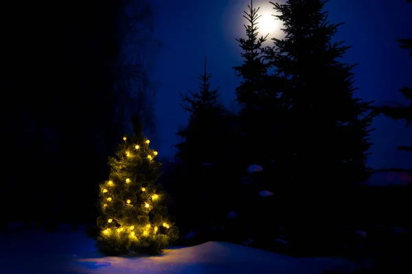 Frostiger Winterweihnachtsbaum Magische Lichterketten Auf Einem Verschneiten Wald — Stockfoto