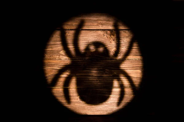 Big Spider Shadow Wooden Background Halloween — Stock Photo, Image